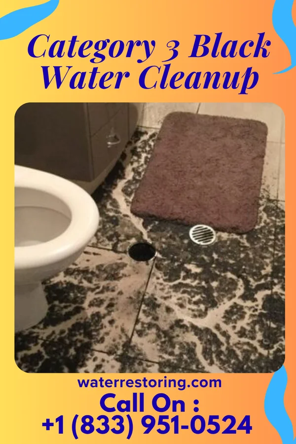 Category 3 Black Water Cleanup in Long Branch, VA