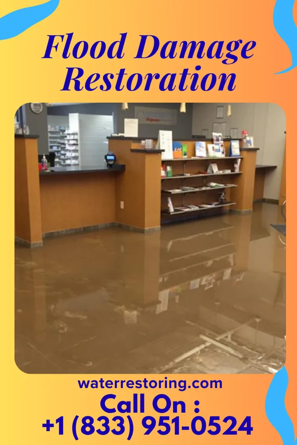 Flood Damage Restoration in Long Branch, VA