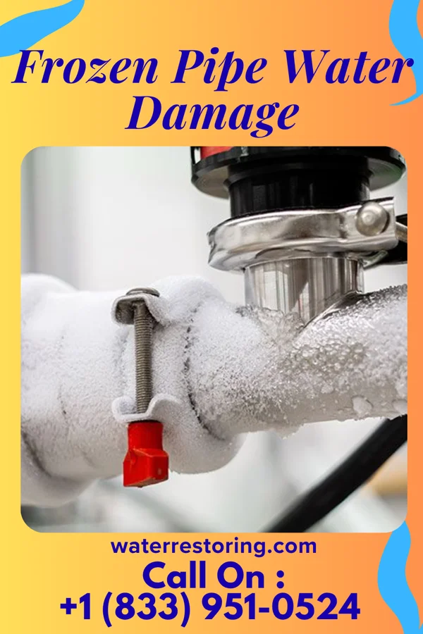 Frozen Pipe Water Damage in Long Branch, VA
