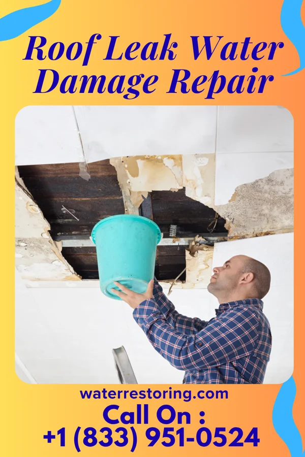 Roof Leak Water Damage Repair in Long Branch, VA