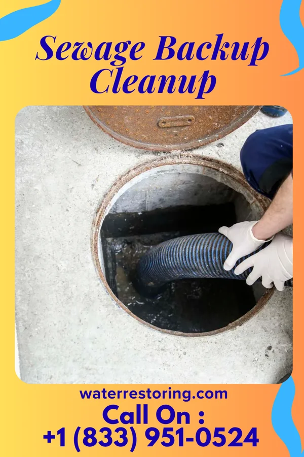 Sewage Backup Cleanup in Long Branch, VA
