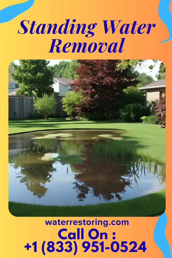 Standing Water Removal in Long Branch, VA